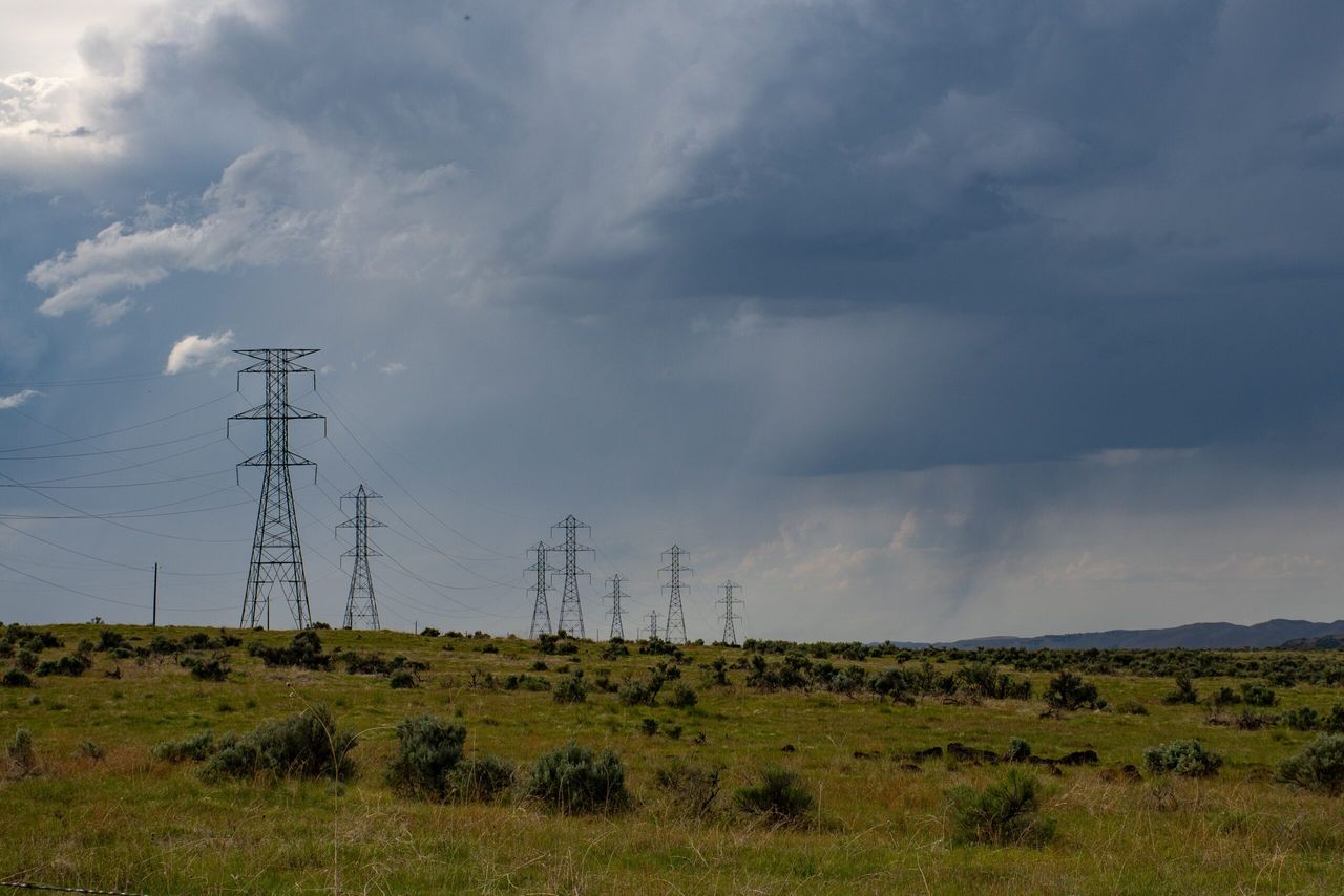 6 farmers join £2 billion legal claim against energy firms