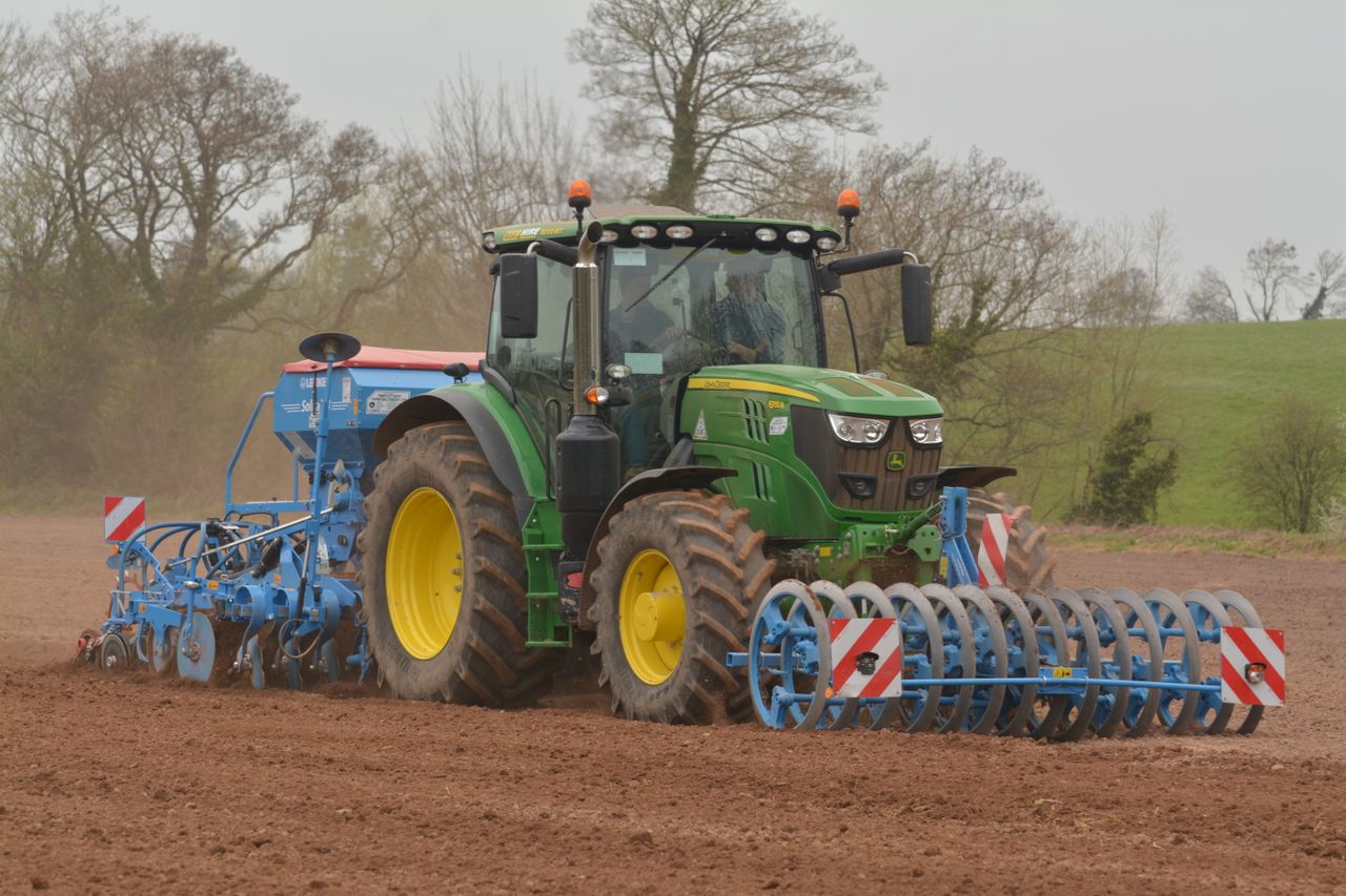 Warm weather brings threat of BYDV for cereal growers