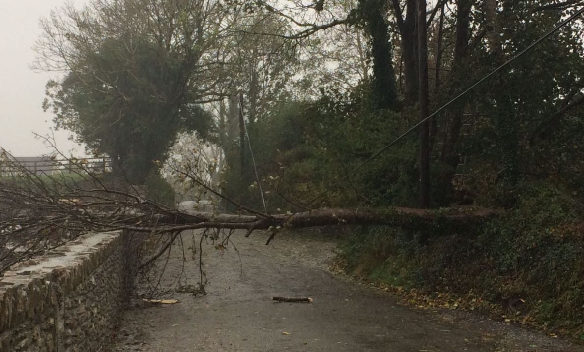 Storm Callum: Your 7-point storm repairs safety checklist