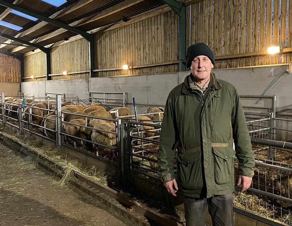 Established sheep breeder wins free NSA membership as part of NSA giveaway