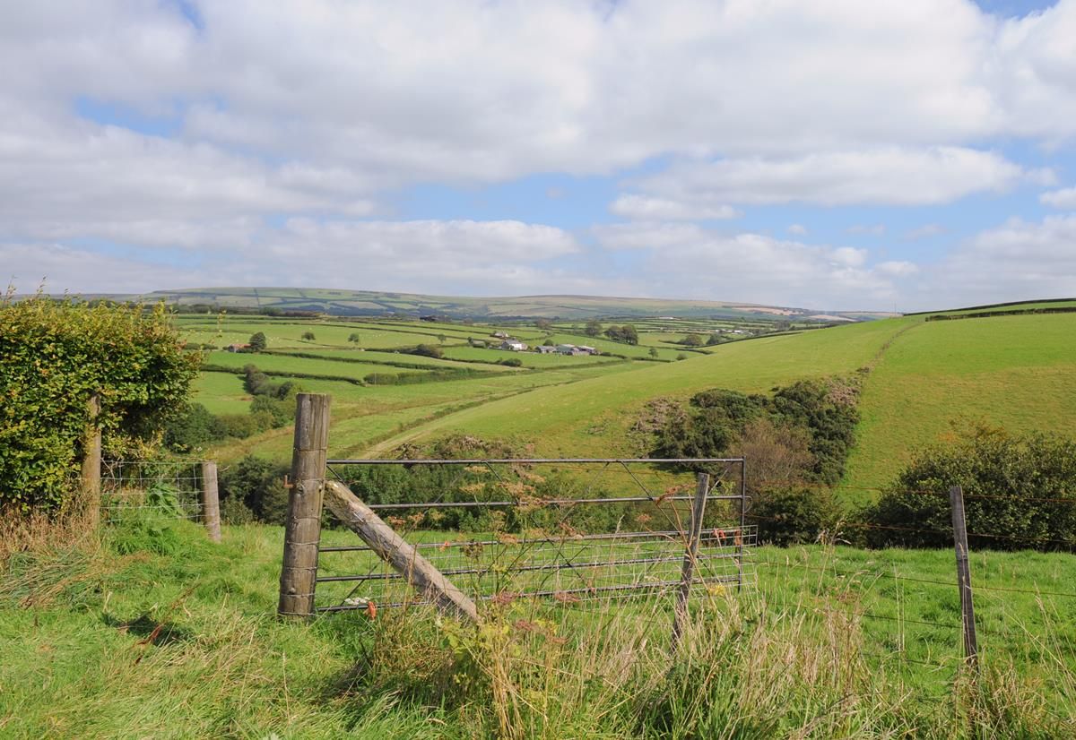 Lyons urges public to have their say on NI’s environment governance issues