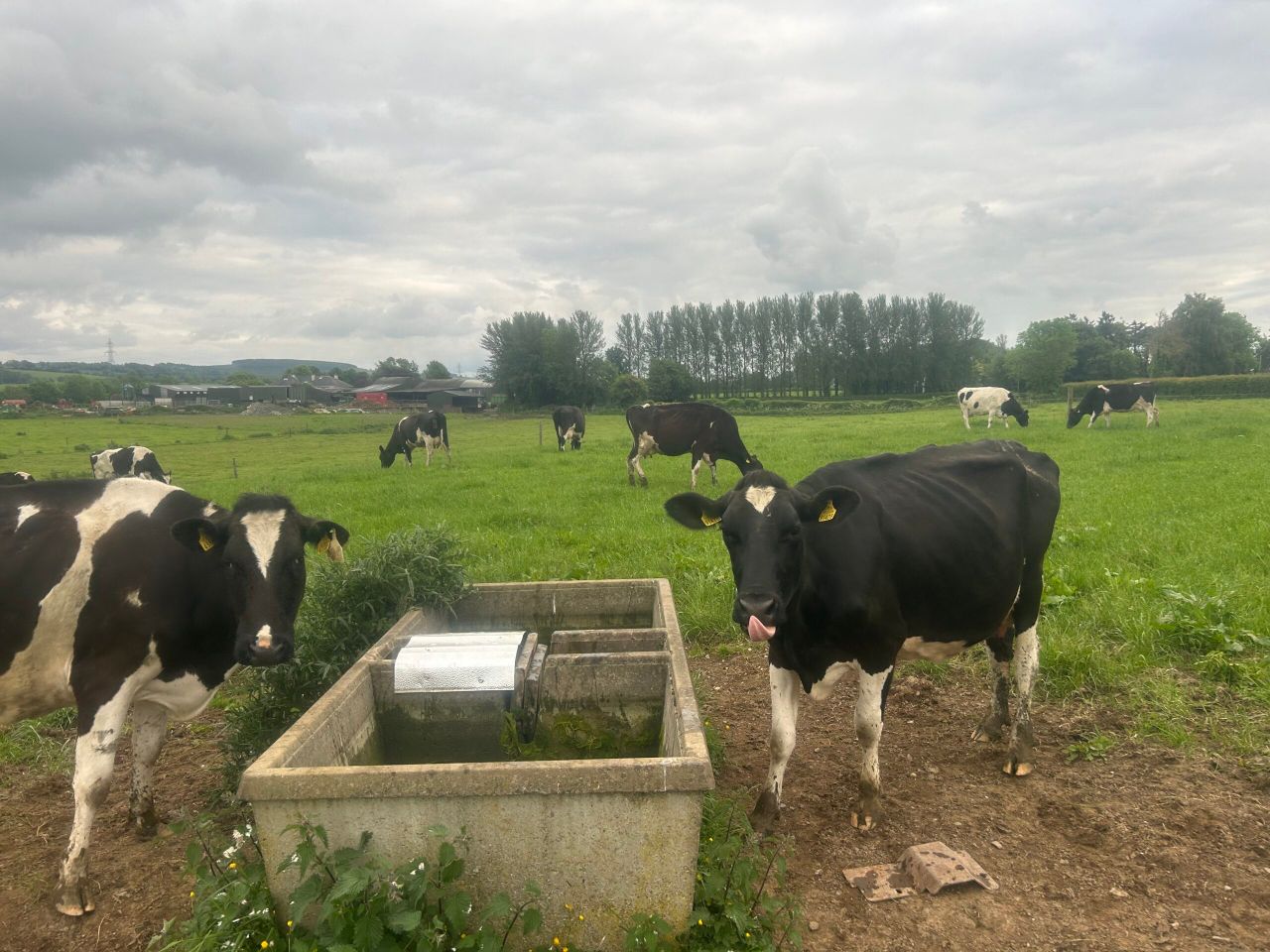 One leaky trough ‘can add up to £200 per week’ to farm’s bill – NI Water