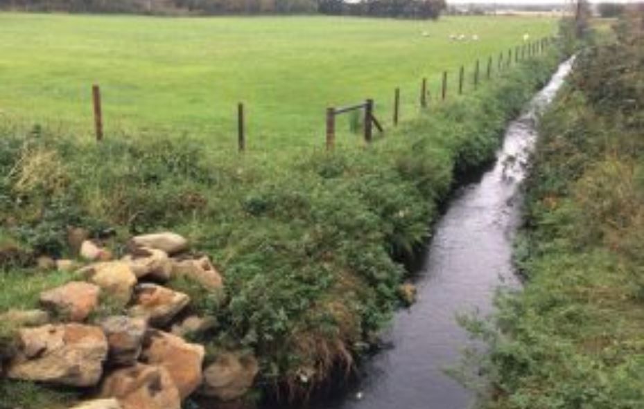Latest round of EFS agreements issued