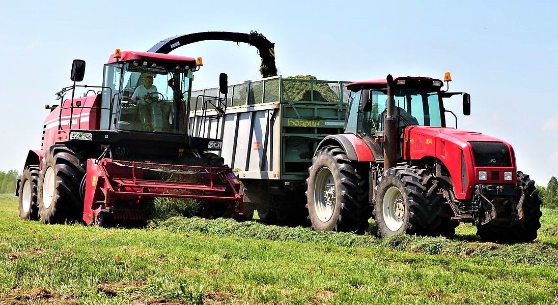 Pics: 'Unusual' forage harvester from the 'east' struts its stuff