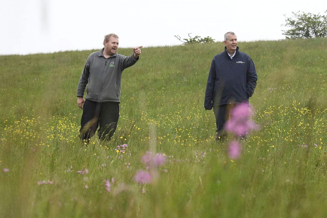 DAERA granted additional £12.4 million of Covid support money