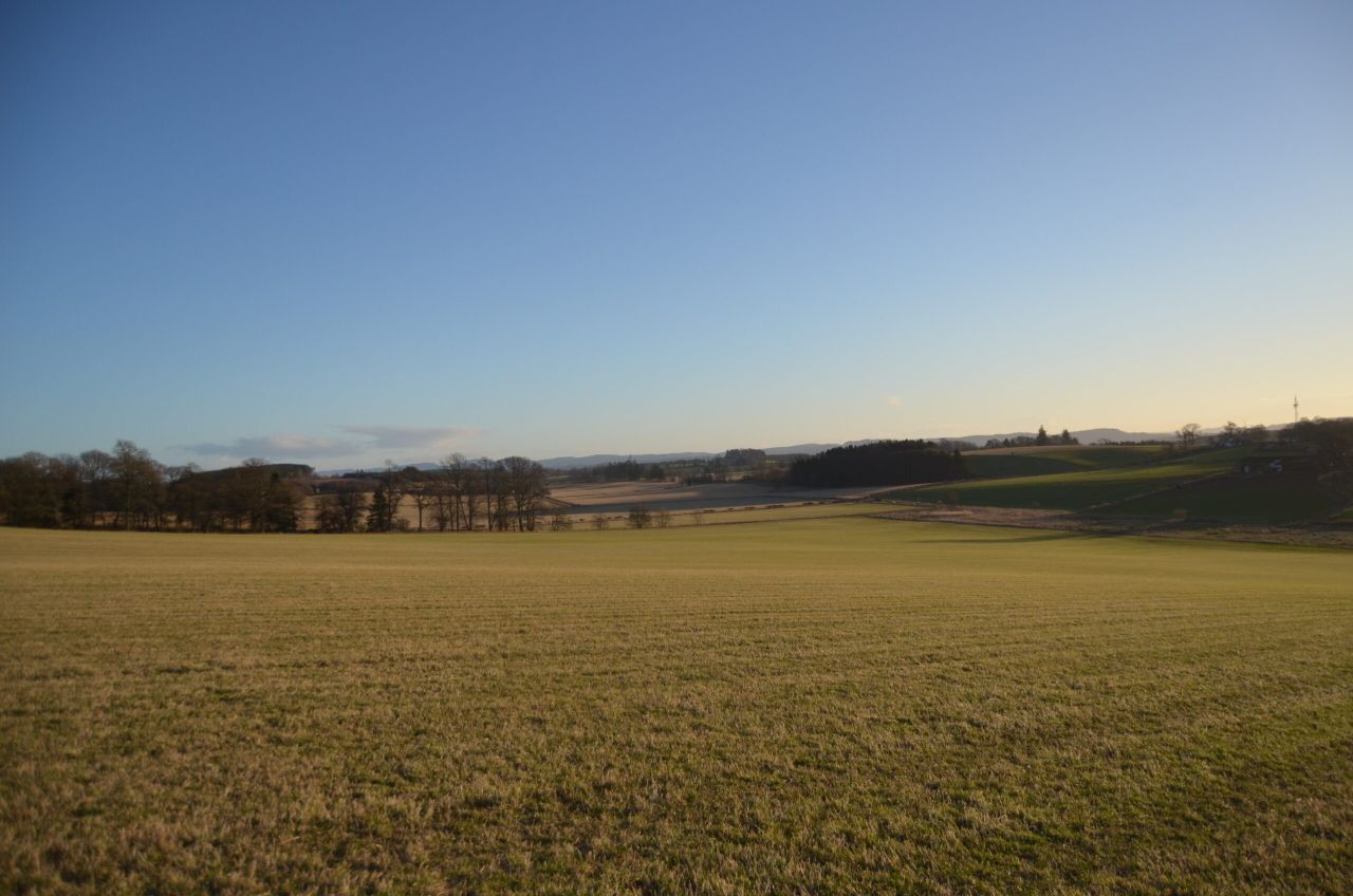 Arable and pasture land for sale in lots on 95.41ac