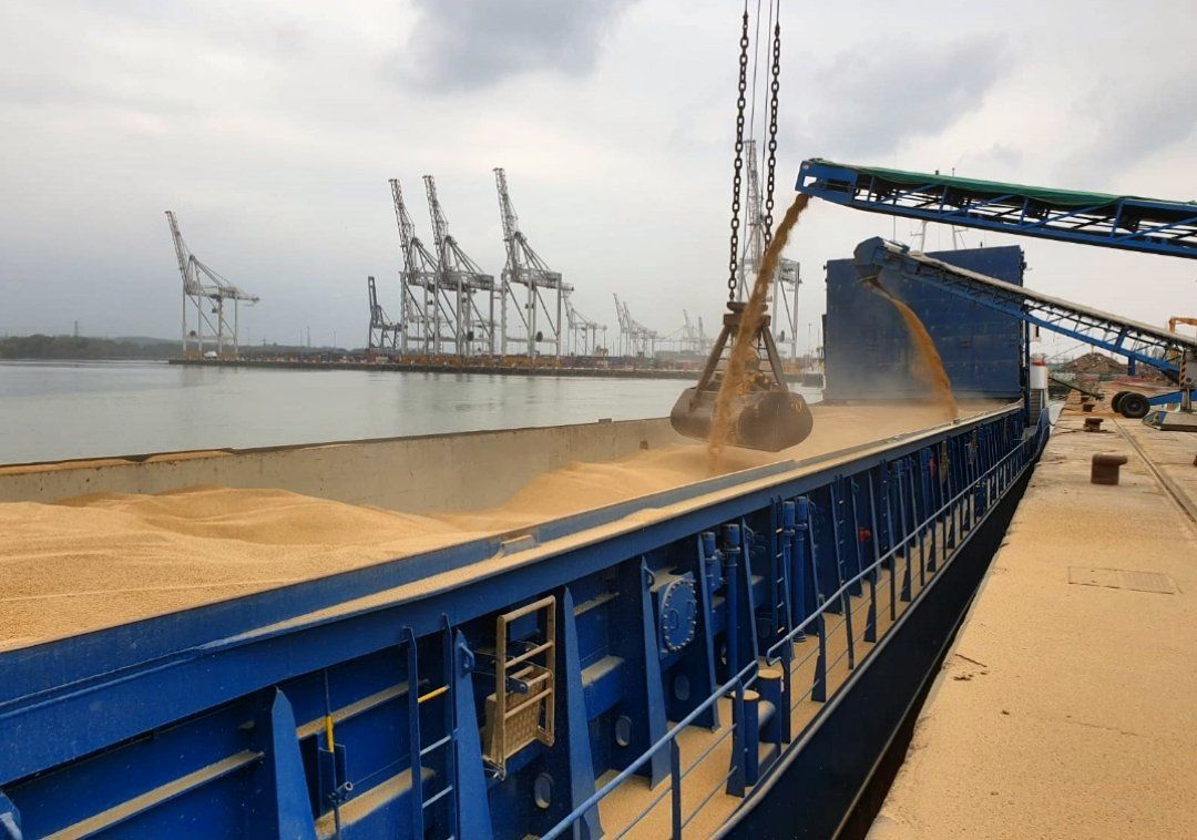 Grain price: Wheat bounces back a little