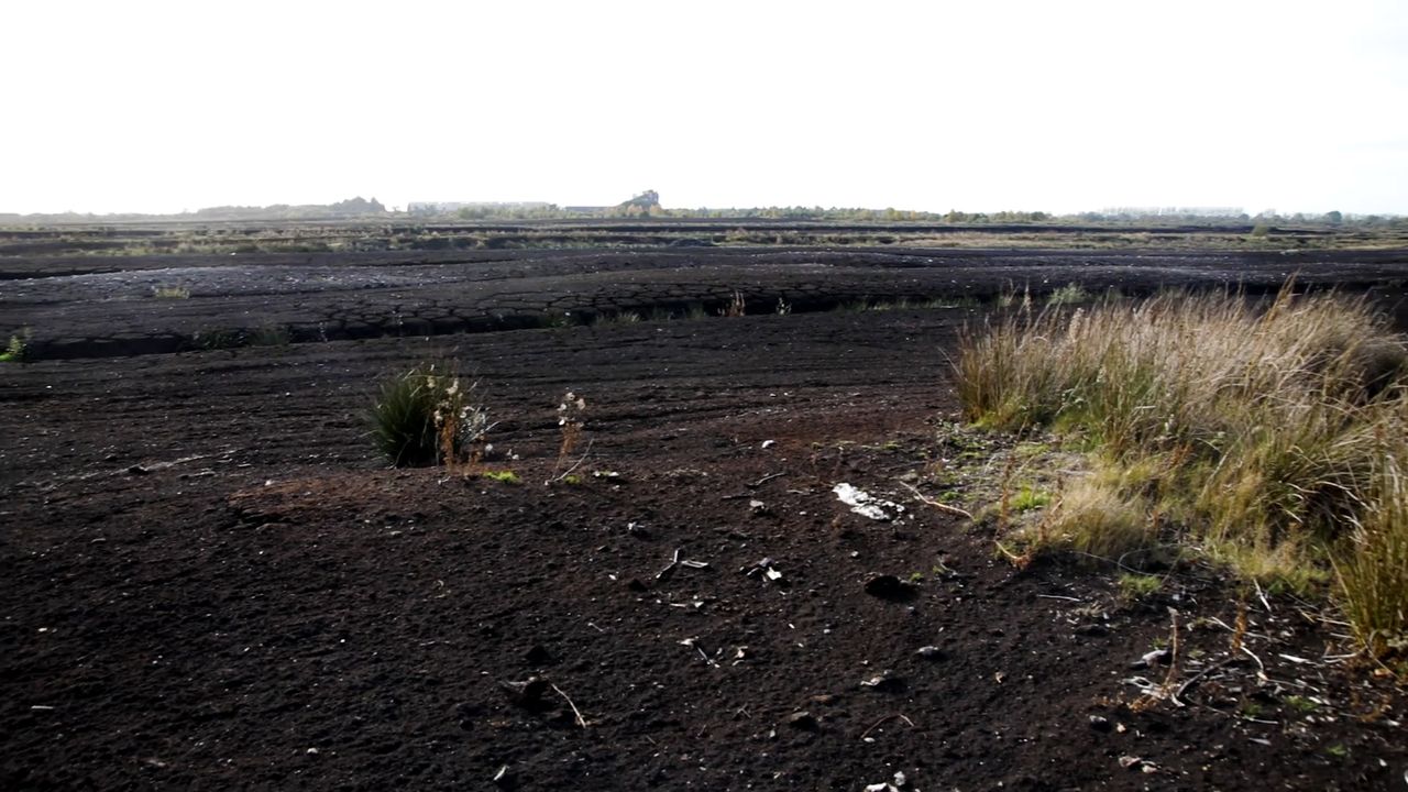 Peatlands Strategy: UFU warns against funding bog rewetting plans from direct payments budget