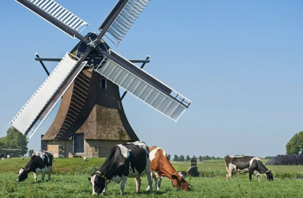 Dutch dairy farmers to get extra ‘cash payment’ from FrieslandCampina