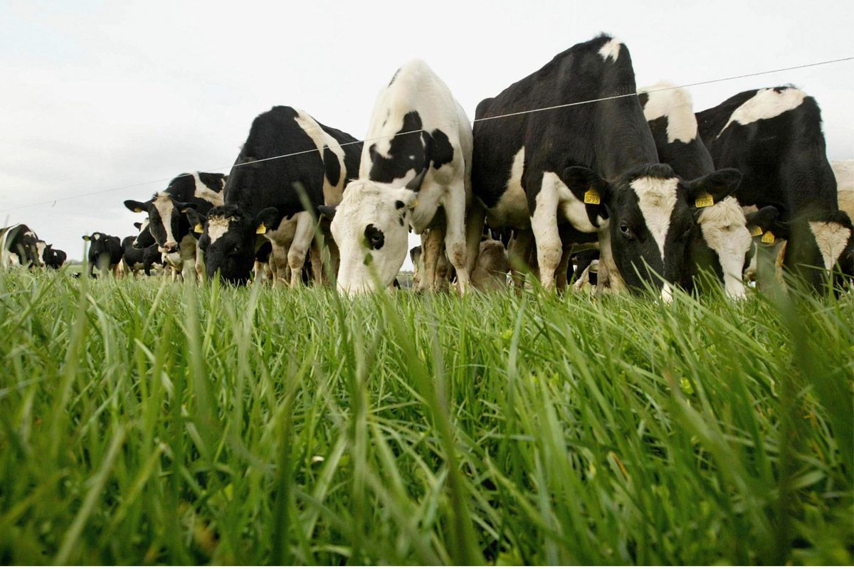 EU milk monopoly concerns post quotas