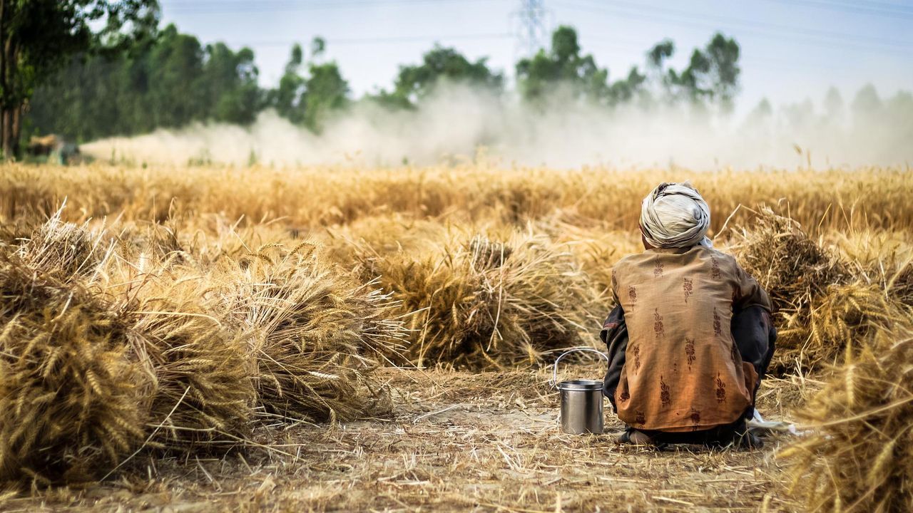 G7 nations must work together to reach global food security – FAO