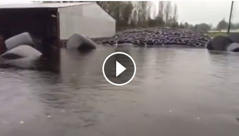 RTE capture terrible footage of an almost fully submerged farm yard in Galway