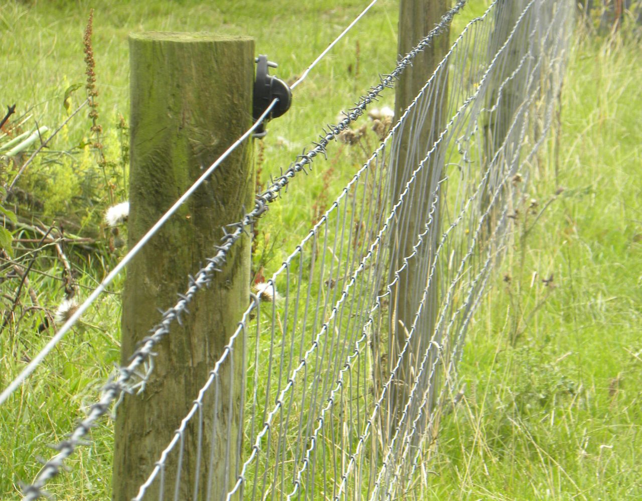 Fence post shortage causes delays to Environmental Farming Scheme