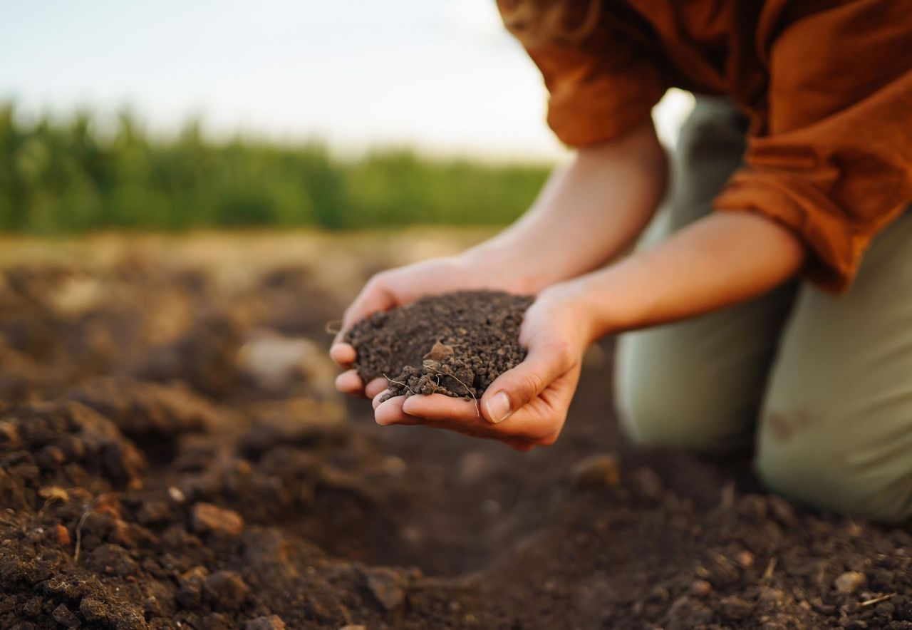 Report: The state of soils in Europe