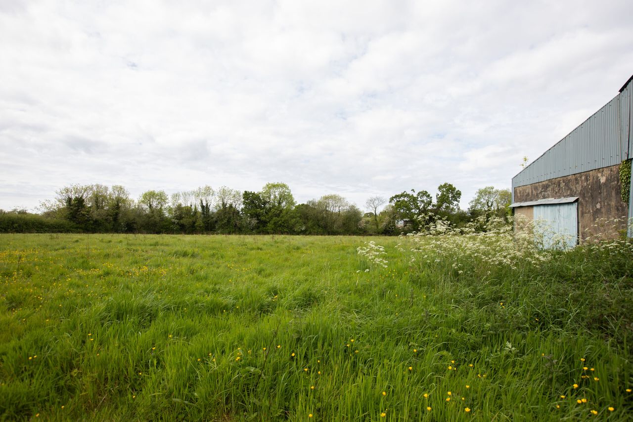 25% of EU agriculture land to be organically farmed by 2030