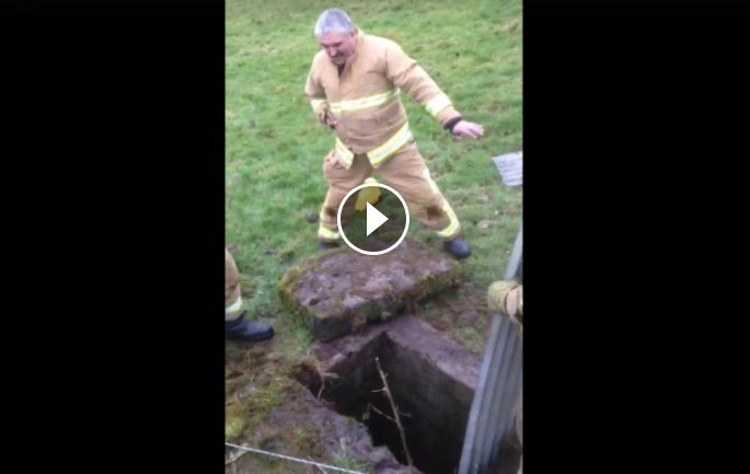 Video: Firefighters use unorthodox measures to rescue trapped lamb