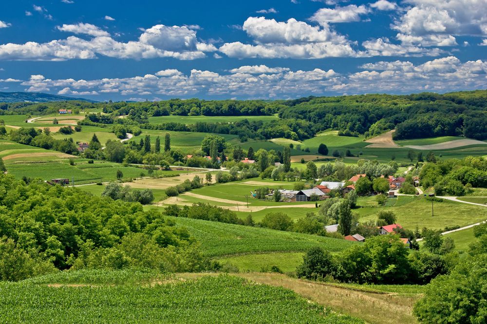 Lords report: Rural committees 'ignored and underrated for too long'