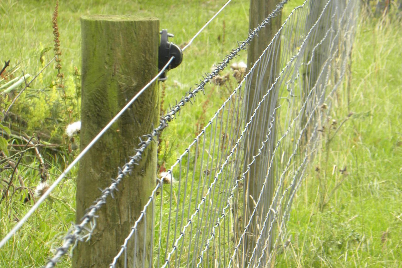 Delay to Environmental Farming Scheme Tranche 3 as department calls for review
