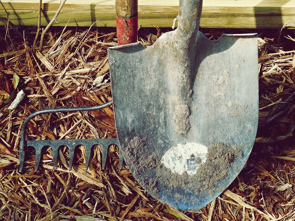 HCC: Welsh farmers are adapting to new challenges