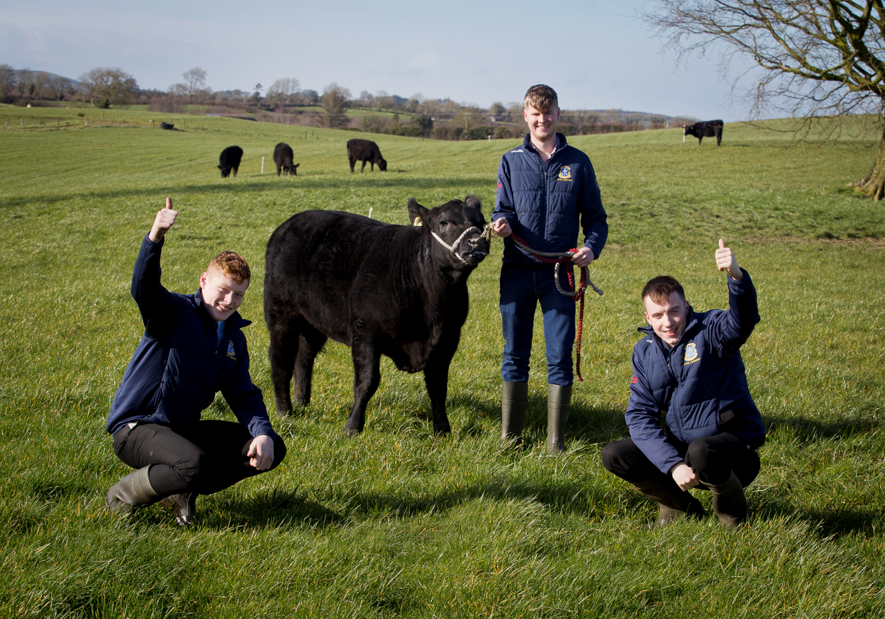 ABP Angus Youth Challenge winners announced on YouTube