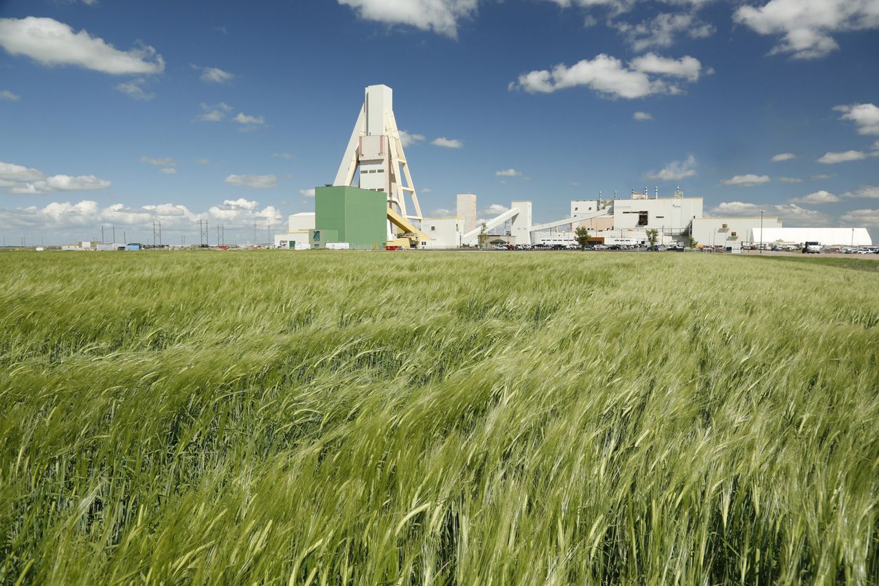 Global fertiliser company to ramp up potash production