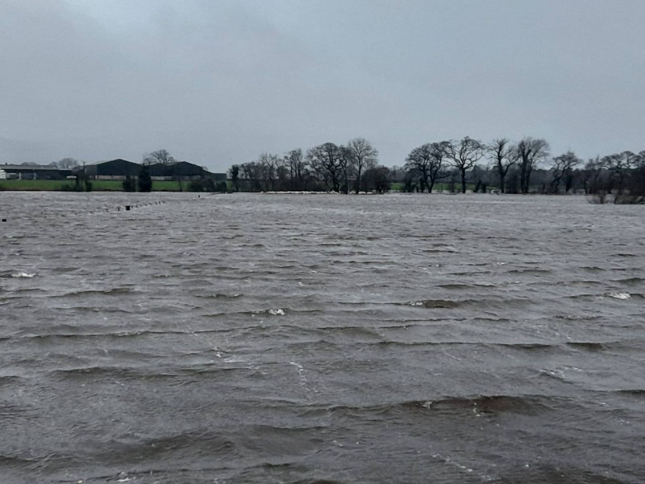 Three sheep die and 57 rescued following flooding in Scotland