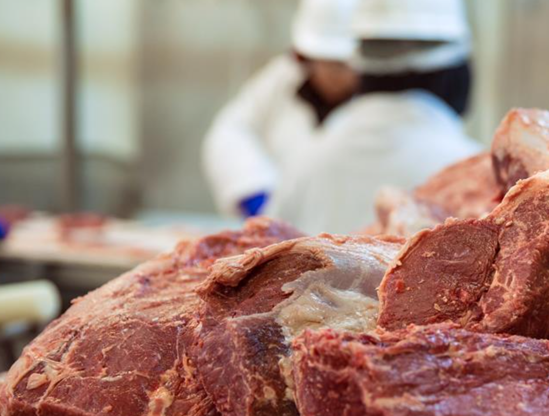 German meat production falls by 5.9% in first half of 2023