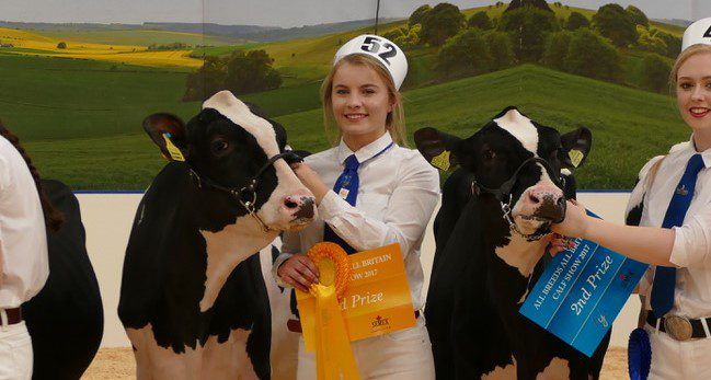 Northern Ireland Holstein breeders manage impressive All-Britain campaign