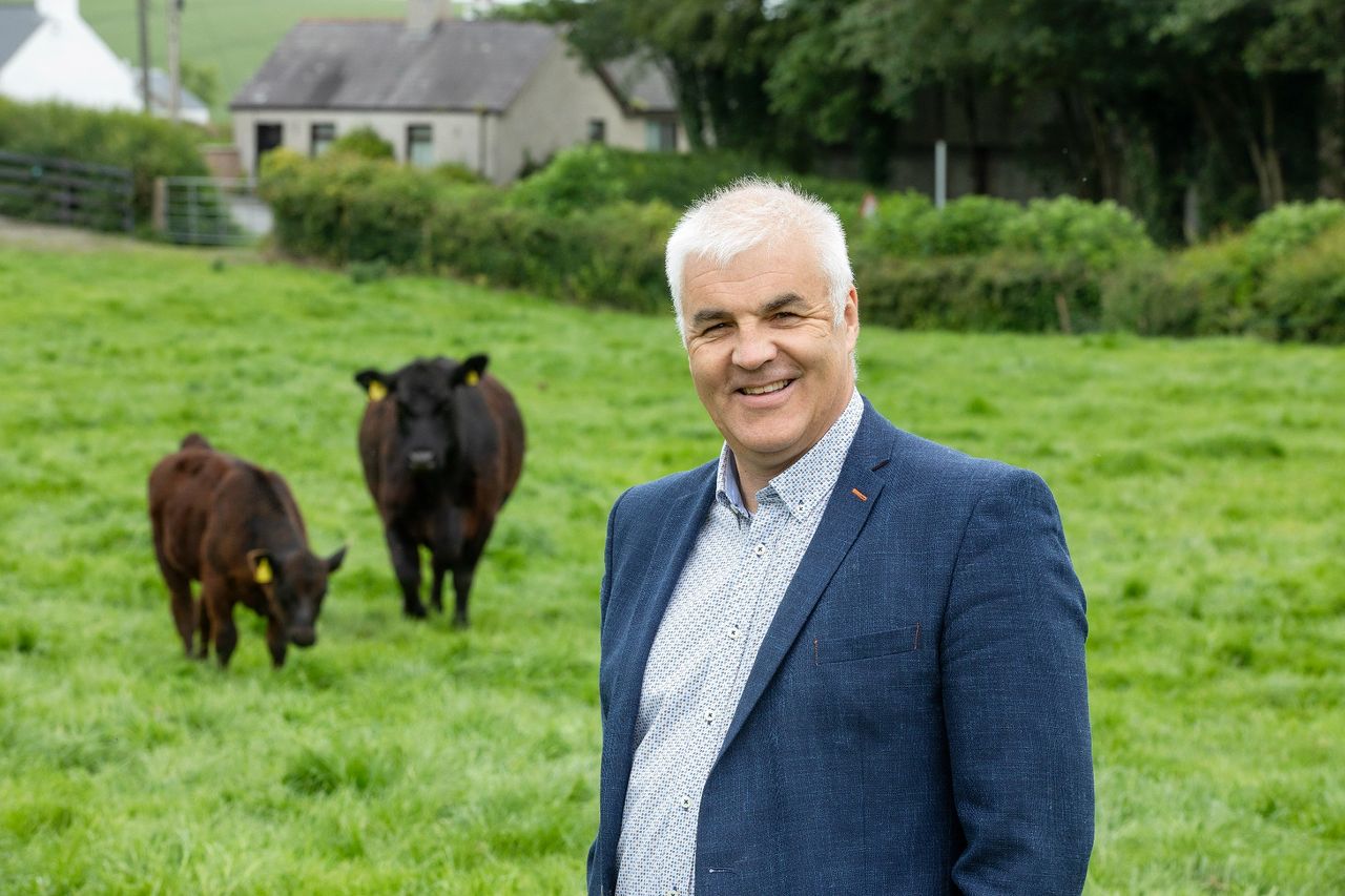 Health-enhancing poultry products in the pipeline