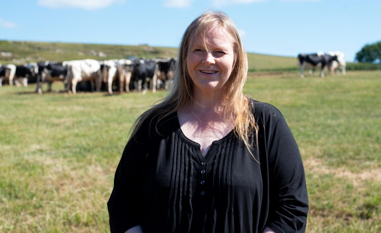 Royal Welsh Show: M&S Awards recognise England and Wales' top farmers