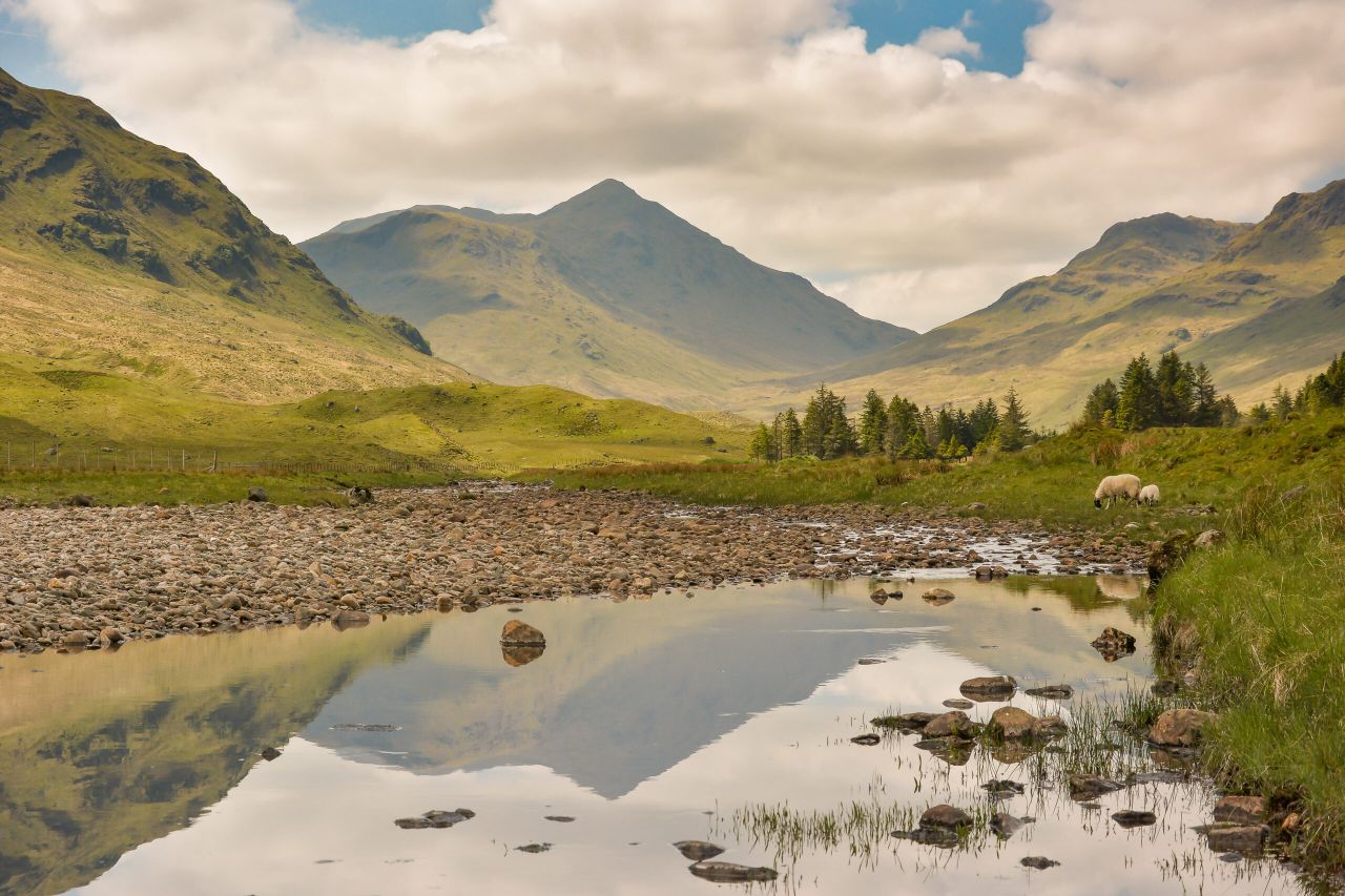 Scottish water warming rapidly - report