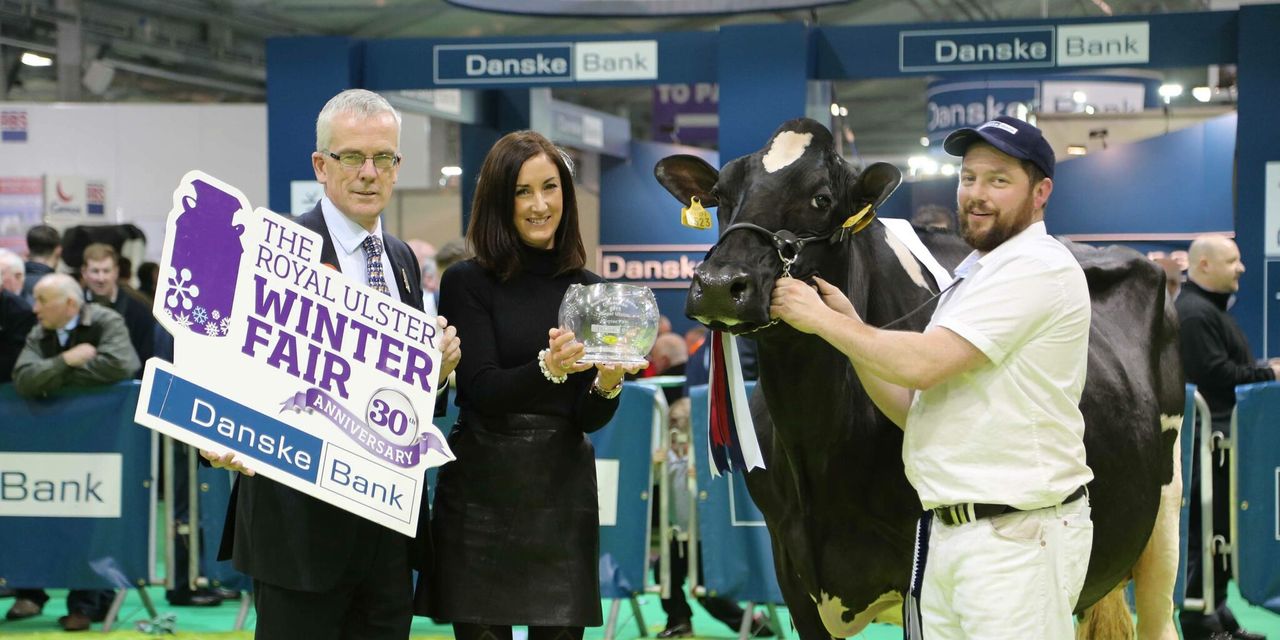 Winter Fair: Crowds flock to Ireland’s largest dairy show – follow the action as it happens