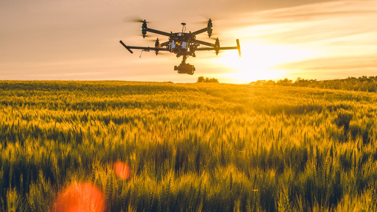 ‘Technology revolution’ in agriculture could reduce environmental impact