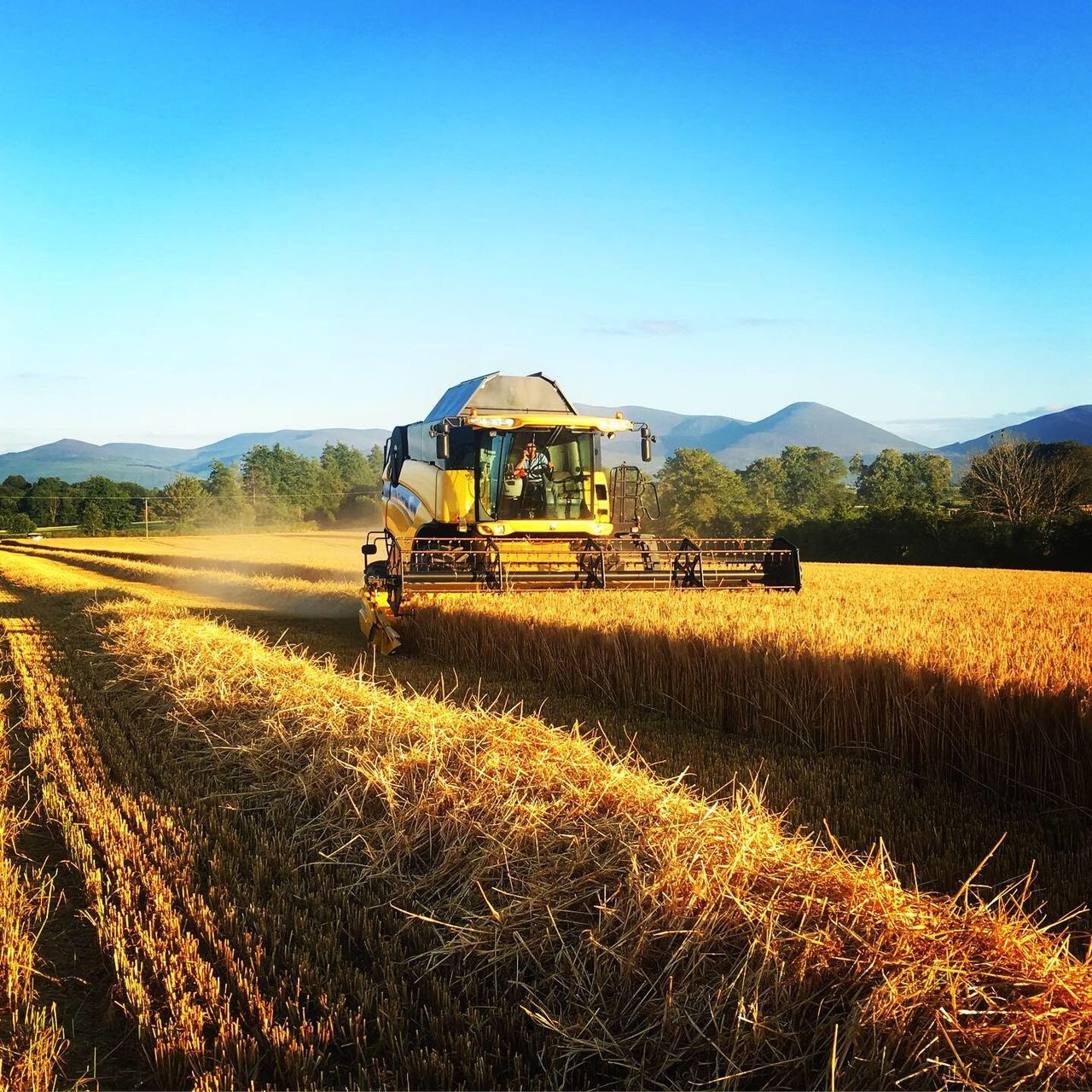 Winners of harvest photo competition announced