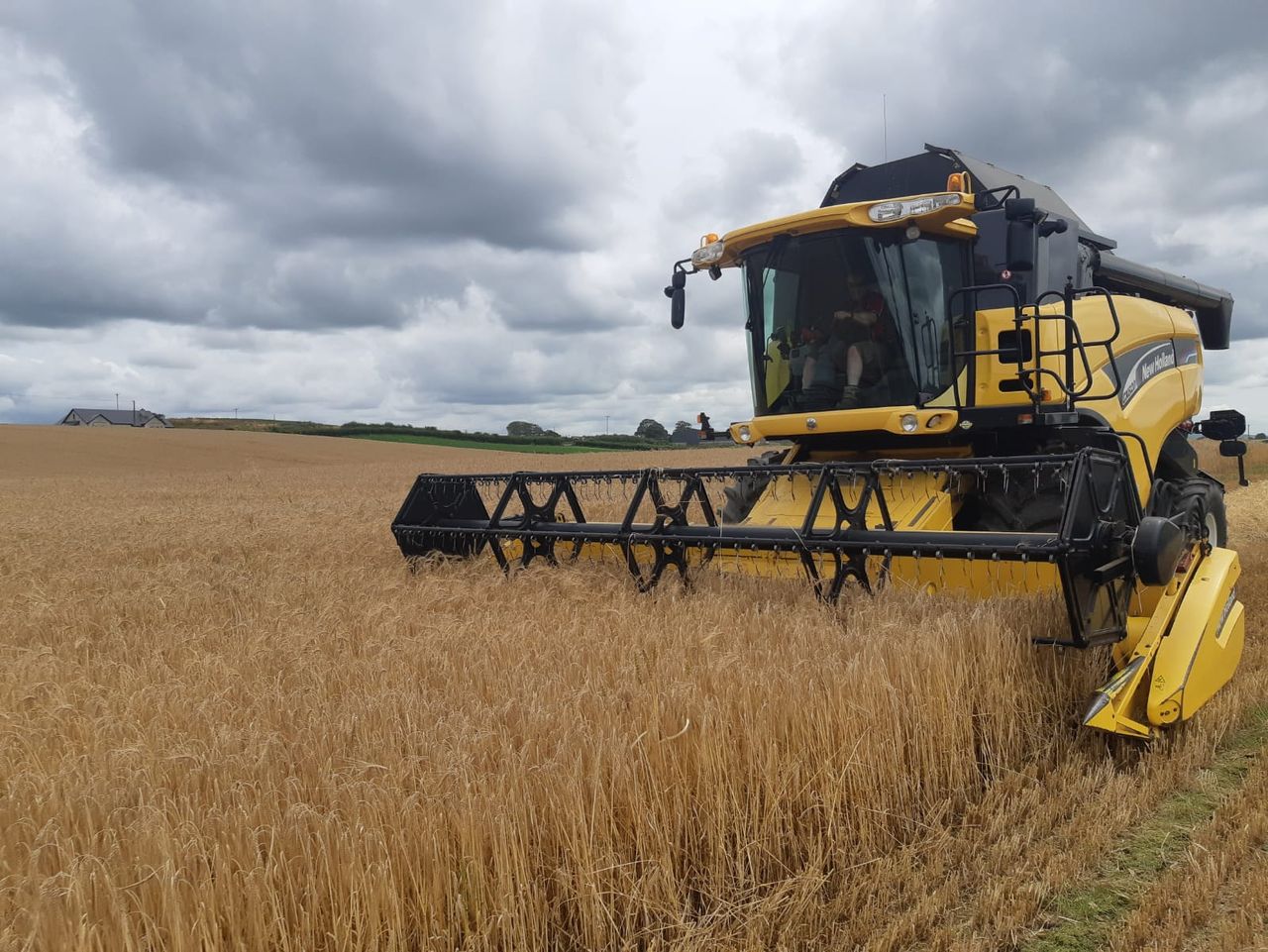 Simpsons Malt teams up with Yara to cut carbon footprint