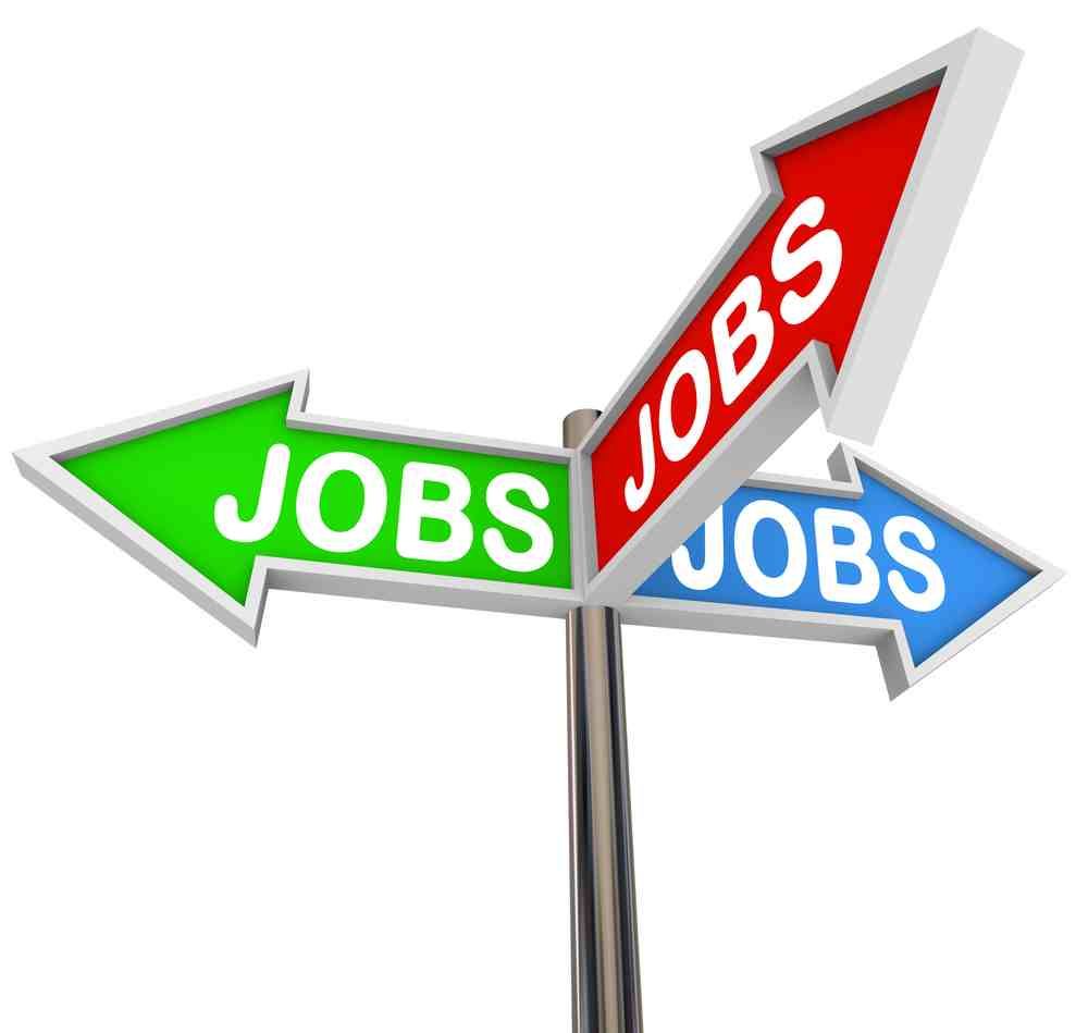 Dunbia to create over 200 jobs in Northern Ireland