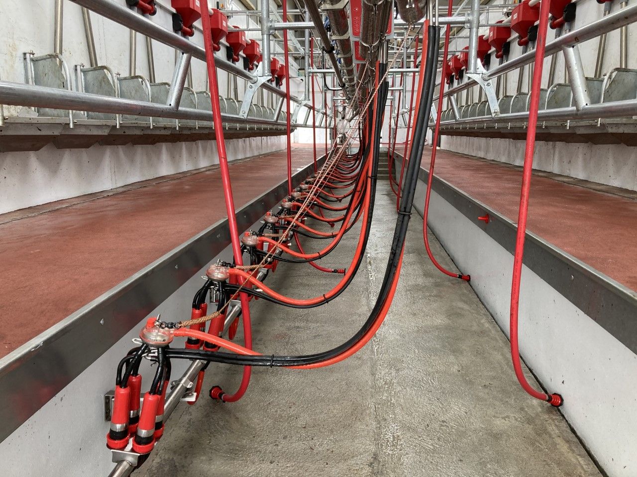 Gap in milk price ‘unsustainable’ – UFU