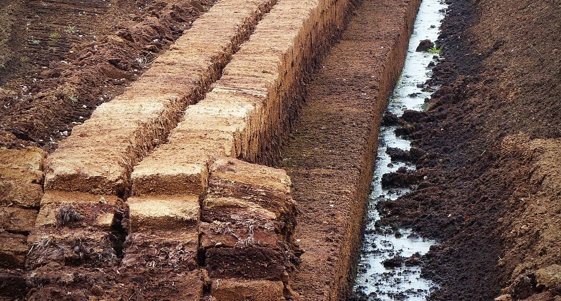 Wales to end the retail sale of peat