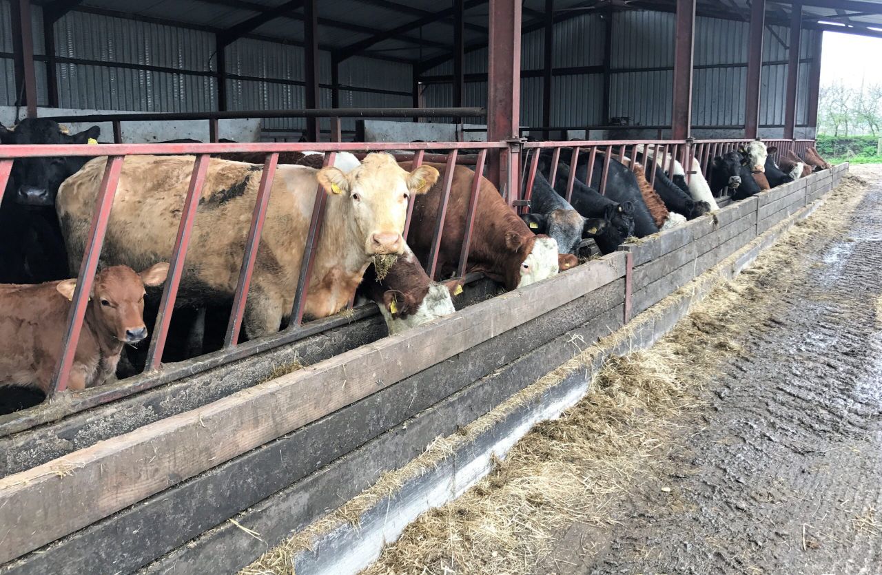 Having all the essentials ready for the calving season