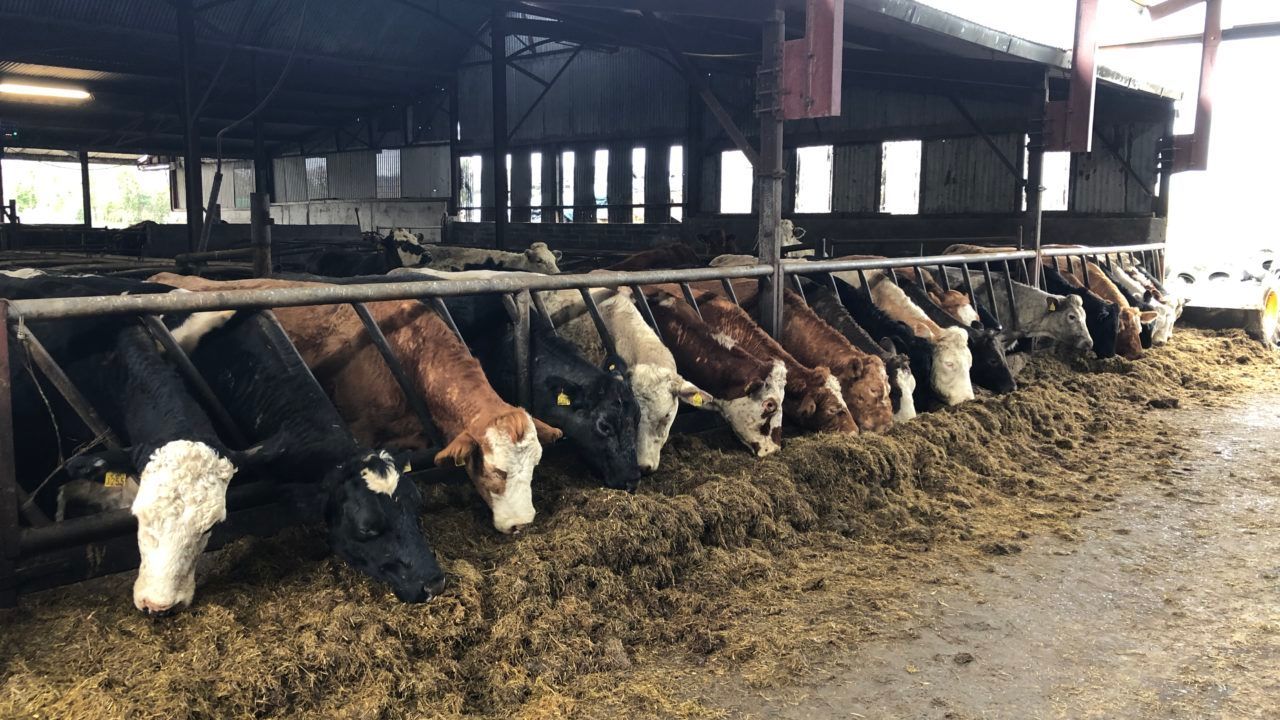 DAERA announces £1.6m in funding for agri-food projects