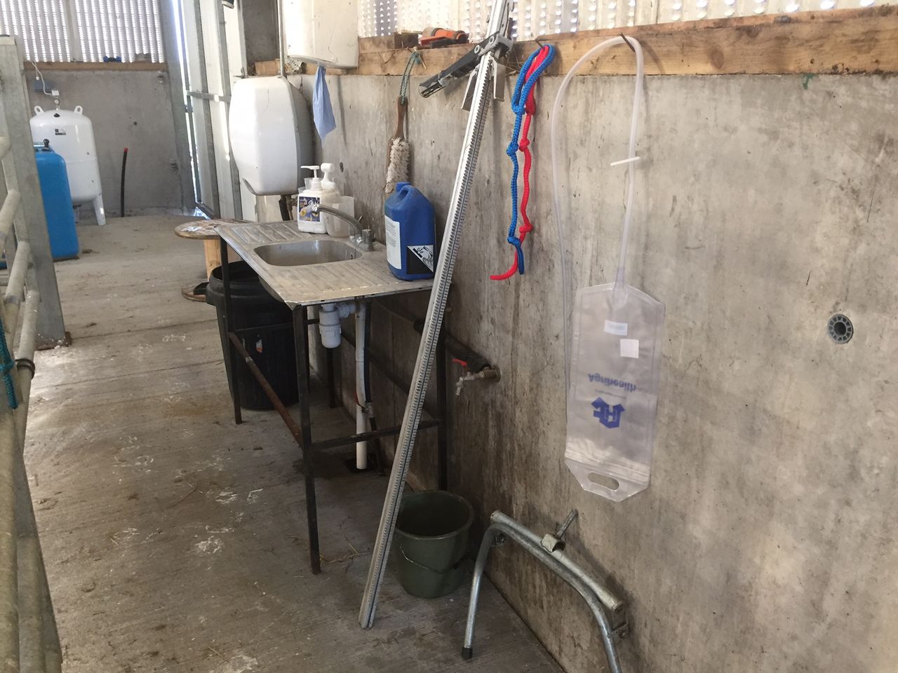 Calf-rearing: ‘I don’t want the calf to ever know I’m not here’