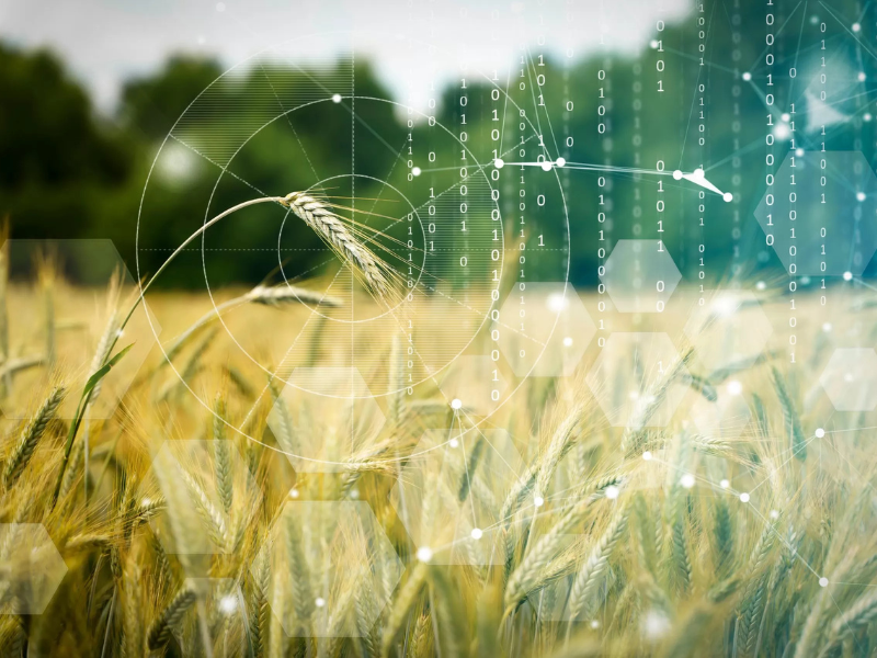 Food stakeholders call for greater agri data collaboration