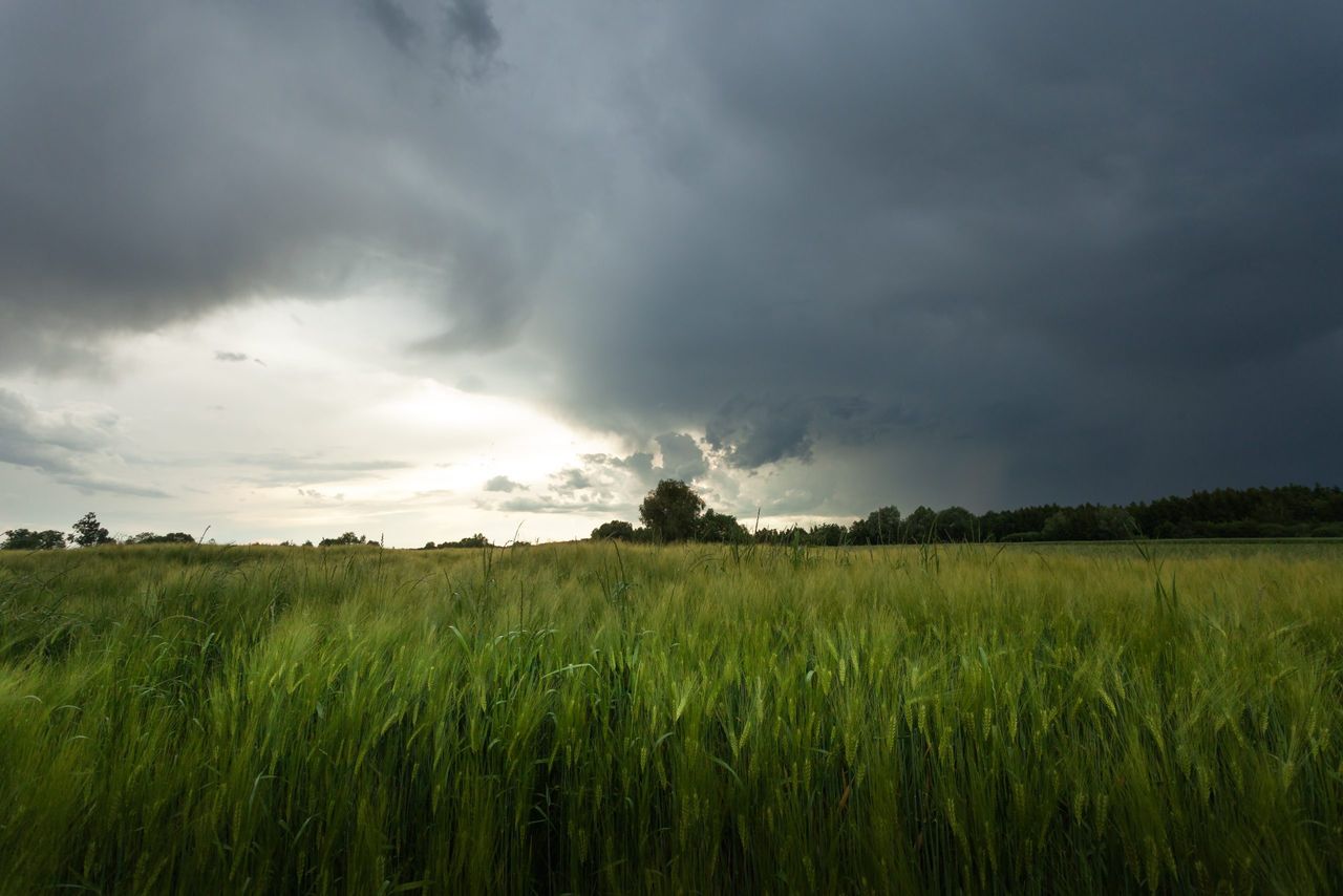Warning issued as Storm Dave to bring ‘severe gusts’ over Easter weekend