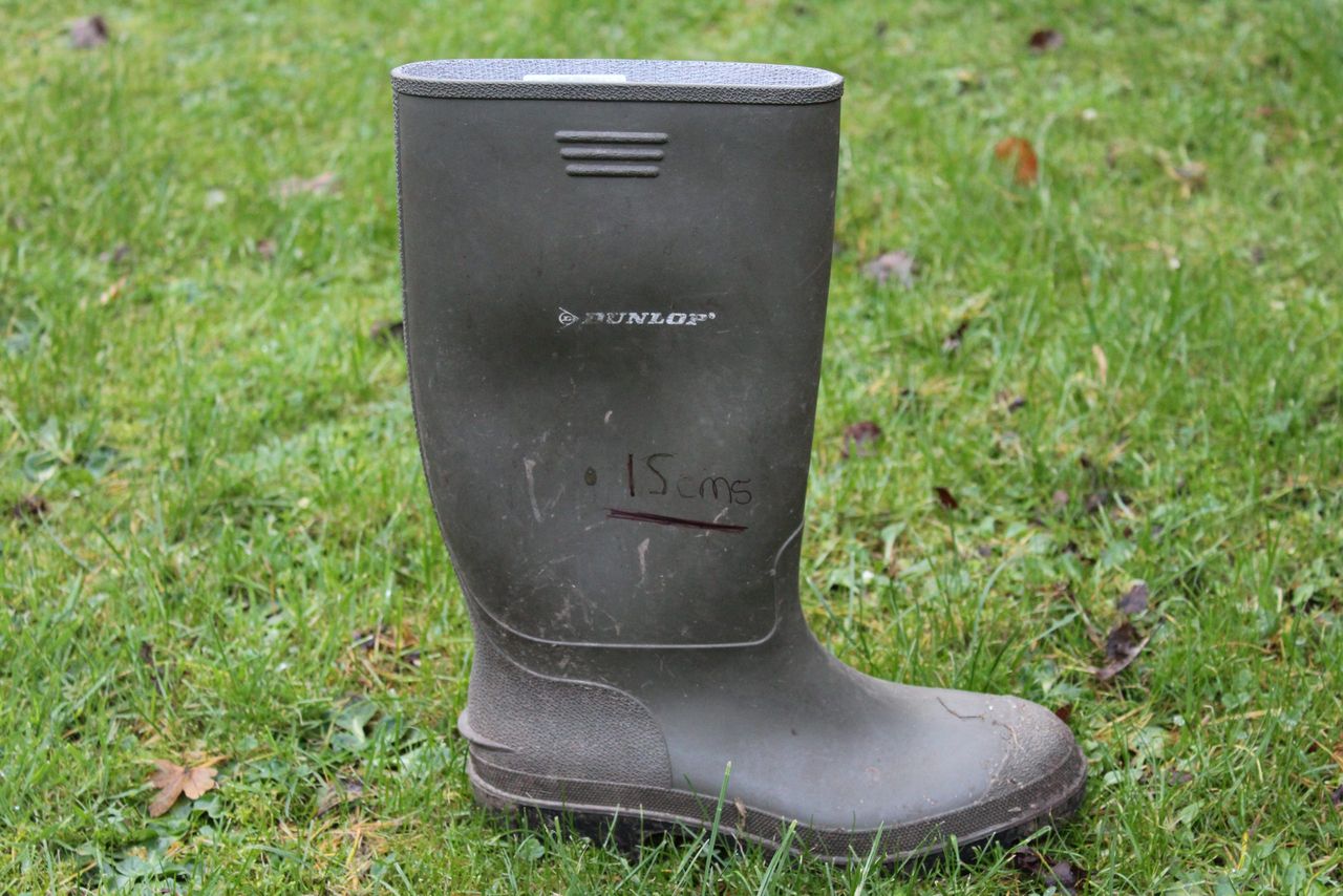 How do you assess your grass covers?