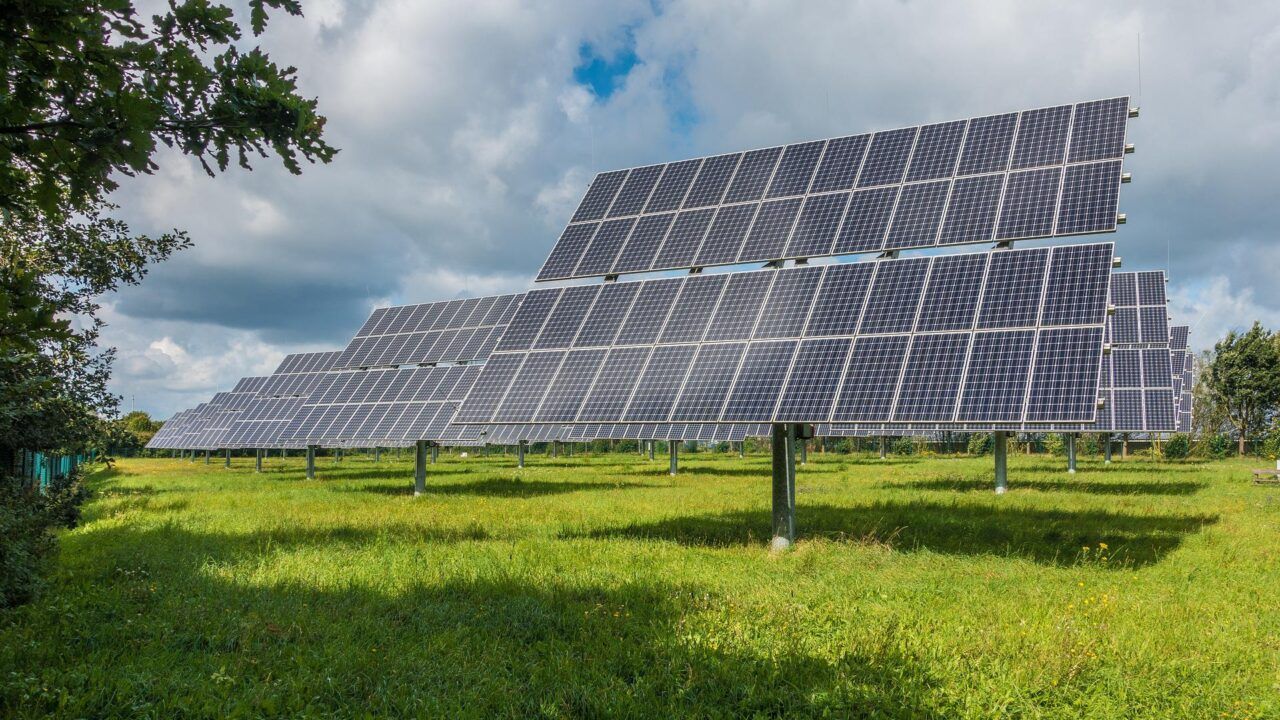 'Major' solar farm planning refused to protect wildlife and livestock