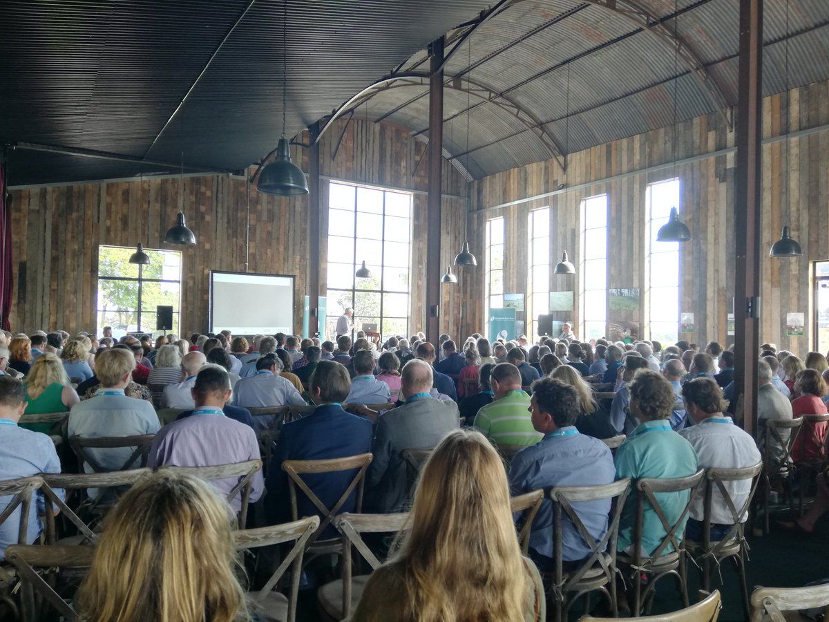 Effective incentives 'to be vital' in Government's net-zero push for farms
