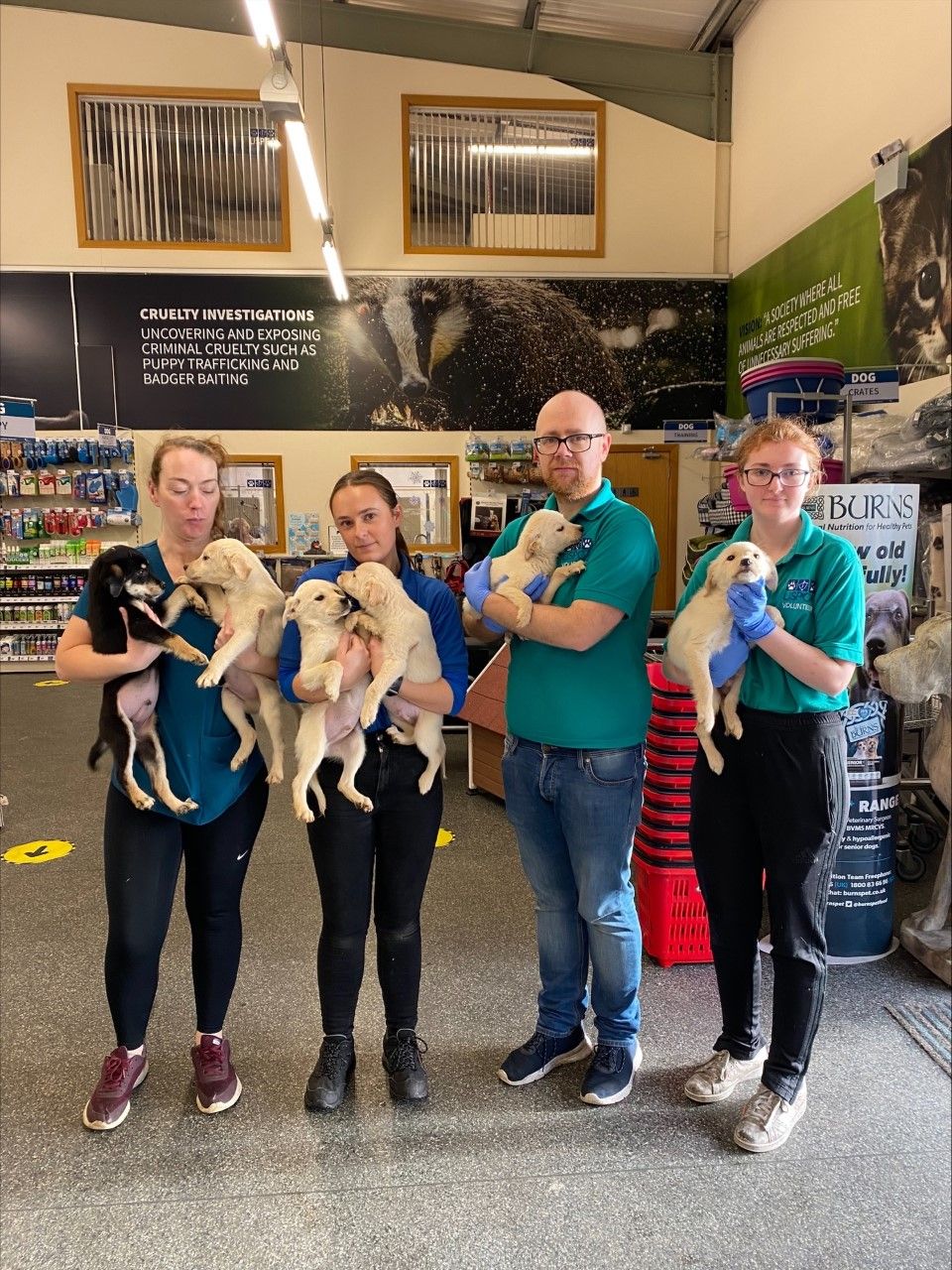 USPCA ‘dismayed’ as animals are abandoned after Christmas