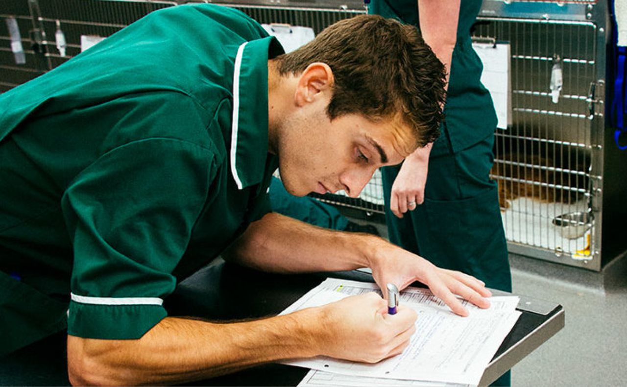 Overseas vets and vet nurses encouraged to take part in ‘introduction to the UK’ training course