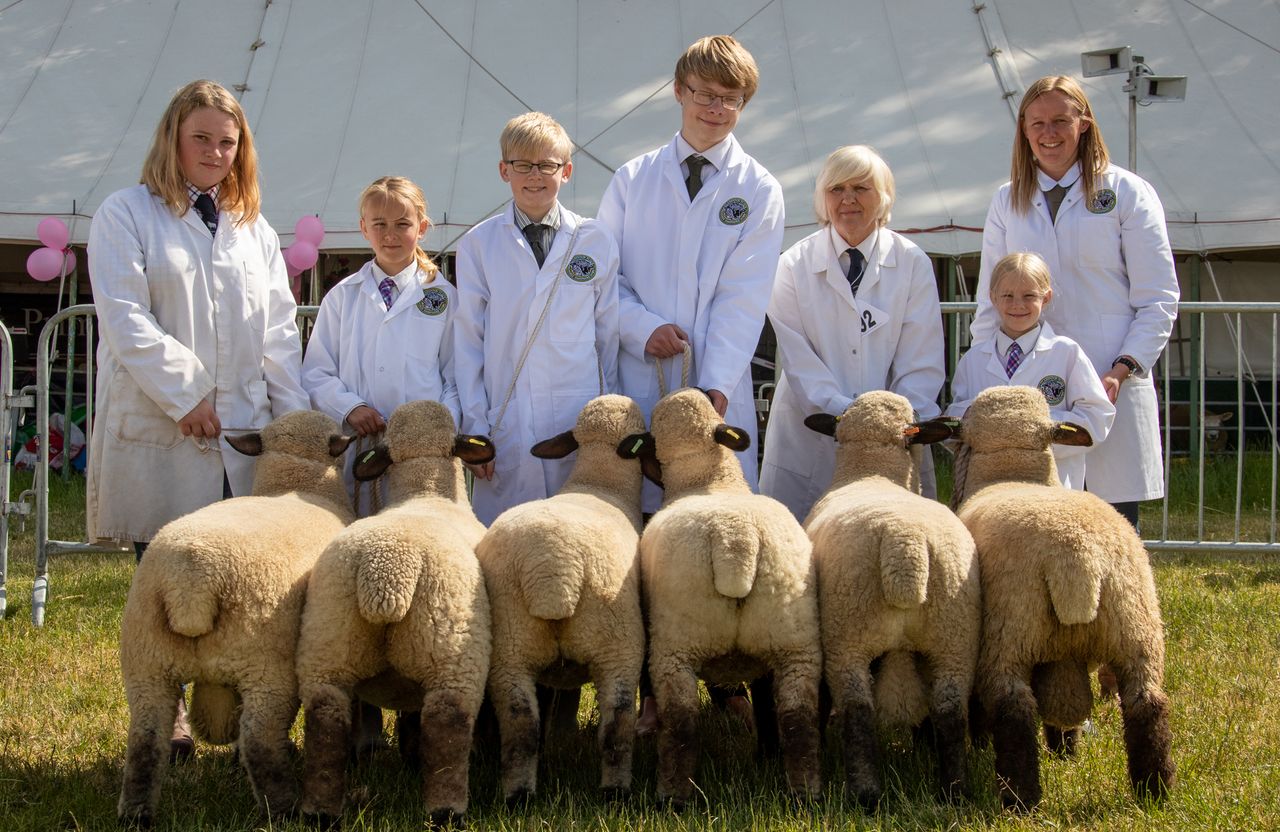 Bath and West show to return this June