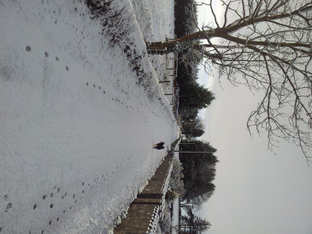 Laois farmers could be paid to salt roads this Christmas